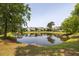 Beautiful pond reflecting the surrounding homes and trees on a clear day at 4073 Blackmoor St, Mount Pleasant, SC 29466