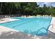 View of the community pool with lounge chairs and trees surrounding the area at 5133 Park Creek Ave, North Charleston, SC 29418