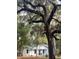 Exterior daytime view of property shows house framed by large trees at 5233 Maybank Hwy, Wadmalaw Island, SC 29487