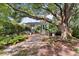 Serene backyard with a large shade tree, stone pathway, and outdoor seating area for relaxing and entertaining at 708 Pitt St, Mount Pleasant, SC 29464