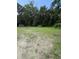 View of a cleared lot with sparse grass and scattered trees at 7413 N Highway 17, Awendaw, SC 29429