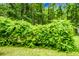 Lush greenery provides privacy and a natural backdrop for this secluded property at 785 Coral Acres Dr, Moncks Corner, SC 29461