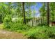 Exterior shot of the property, nestled among lush greenery and mature trees at 785 Coral Acres Dr, Moncks Corner, SC 29461