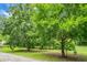 Large yard featuring several trees, bird feeders, and lots of greenery at 785 Coral Acres Dr, Moncks Corner, SC 29461