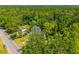 Aerial view of a home surrounded by lush, mature trees at 8453 Charleston Hwy, Walterboro, SC 29488