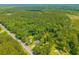 An aerial view shows the house nestled among dense greenery and a road for easy access at 8453 Charleston Hwy, Walterboro, SC 29488