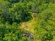 A scenic view of a wooded area surrounding a home with a green lawn at 8453 Charleston Hwy, Walterboro, SC 29488