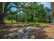 Expansive backyard with mature oak and manicured lawn, plus the side of a light blue home at 8453 Charleston Hwy, Walterboro, SC 29488