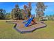 Community playground featuring a slide and swing set, surrounded by mature trees and well-maintained landscaping at 9682 Pebble Creek Blvd, Summerville, SC 29485
