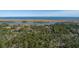 Scenic aerial view of expansive green wooded homesite with a glimpse of the water in the distance at 0 Doar Rd, Awendaw, SC 29429