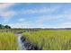 Scenic view of marsh grasses from walkway with blue sky above at 1003 Jervey Point Rd, Wando, SC 29492