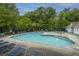 A spacious community pool is surrounded by lounge chairs with lush landscaping in this quiet neighborhood at 1304 Elm Hall Cir, Summerville, SC 29483