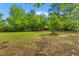 Exterior shot of a backyard with fresh green grass and mature shade trees on a clear day at 1320 Bresee St, Charleston, SC 29412