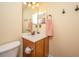 Bathroom featuring a wood vanity with a mirror, a towel and soap dispenser at 1401 Elm Hall Cir, Summerville, SC 29483
