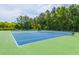 Enjoy a match on the well-maintained tennis courts with lush green surroundings, perfect for active community living at 1409 Bloomingdale Ln, Mount Pleasant, SC 29466