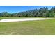 Outdoor basketball court ready for a friendly game, set against a backdrop of lush trees and green space at 173 Southport Dr, Summerville, SC 29483