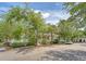 Neighborhood street view of the house with mature trees and well-maintained surroundings at 183 Civitas St, Mount Pleasant, SC 29464