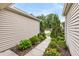 Landscaped side yard with a concrete walkway, lush greenery, and vinyl siding on the home's exterior at 193 Cypress Forest Dr, Moncks Corner, SC 29461