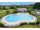 Aerial view of a large community pool with ample seating and lush surroundings at 234 Cameron St, Summerville, SC 29486