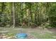 Backyard featuring green space, mature trees and a discrete septic tank at 252 Island Green Rd, Goose Creek, SC 29445