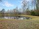 Scenic view of a tranquil pond reflecting the surrounding trees under a partly cloudy sky, enhancing the property's natural beauty at 252 Island Green Rd, Goose Creek, SC 29445