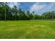 Well-maintained lawn surrounded by trees offering privacy and ample space at 810 Highway 61, Ridgeville, SC 29472