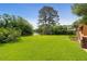 Expansive backyard with lush green grass and mature trees, plus water view at 919 Overview Ct, Mount Pleasant, SC 29464