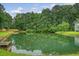 A tranquil pond surrounded by lush greenery and mature trees in backyard at 9646 Scarborough Ct, Summerville, SC 29485