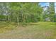 Large backyard with a hammock and a storage shed at 1314 Cooper Store Rd, Moncks Corner, SC 29461