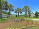 Inviting community entrance with lush landscaping, palm trees, and a water fountain at 1445 Ashley Gardens Blvd, Charleston, SC 29414