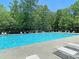 Large community swimming pool with lounge chairs for relaxing and enjoying the sunny days at 1445 Ashley Gardens Blvd, Charleston, SC 29414
