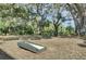 Outdoor cornhole game in a community green space surrounded by trees and natural landscaping at 1489 Red Tide Rd, Mount Pleasant, SC 29466