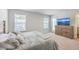 Bright bedroom featuring two large windows, soft carpet, and a modern dresser with a TV at 163 Spencer Cir, Summerville, SC 29485