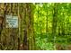 Protected natural area featuring a tree with a sign and lush green forest at 2031 Thornhill Dr, Summerville, SC 29485