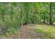 Lush backyard and wooded area, offering serene privacy at 2202 Sc-61, Ridgeville, SC 29472