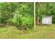 Utility outbuilding surrounded by green foliage at 2202 Sc-61, Ridgeville, SC 29472