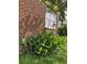 Brick house exterior with garden, featuring lush green foliage and an orange canna lily at 2204 Dover St, North Charleston, SC 29405