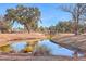 Picturesque pond surrounded by trees and landscaping offering a peaceful natural retreat for residents and visitors at 2336 Brinkley Rd, Johns Island, SC 29455