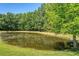 Scenic pond surrounded by mature trees, offering a tranquil and picturesque natural setting at 2701 Fountainhead Way, Mount Pleasant, SC 29466