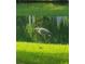 Close up of heron standing on grassy bank along the pond with a reflection of trees in the background at 3290 Middleburry Ln, Charleston, SC 29414