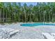 Community pool with ample seating surrounded by a lush forest landscape at 3429 Seaton Street, Summerville, SC 29486