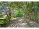 Charming backyard path with trees providing shade, enhancing the outdoor experience at 6305 Lucille Dr, North Charleston, SC 29406