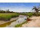 Scenic marsh view with tall grasses, a flowing creek, and coastal vegetation at 779 Forrest Dr, Charleston, SC 29492