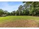 Expansive green field, ideal for outdoor activities, with mature trees in the perimeter at 1012 Basildon Rd, Mount Pleasant, SC 29466