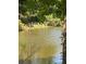 Beautiful pond surrounded by trees with white birds resting on the bank at 1245 Lakefront Drive Dr, Charleston, SC 29412