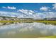 Scenic pond and homes in the background beneath a partly cloudy blue sky at 143 Airy Dr, Summerville, SC 29486