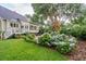 Well-maintained backyard with hydrangea bushes, lush green grass, and patio with porch at 1511 Fairway Dr, Charleston, SC 29412