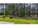 Wooded backyard with tall trees providing a sense of privacy and seclusion at 183 Calm Water Way, Summerville, SC 29486