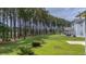 Large backyard with tall trees creating a natural backdrop for outdoor enjoyment at 183 Calm Water Way, Summerville, SC 29486