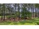 Scenic backyard with tall trees creating a private, natural barrier at 183 Calm Water Way, Summerville, SC 29486